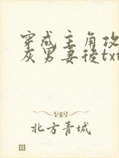 穿成主角攻的炮灰男妻后txt免费下载