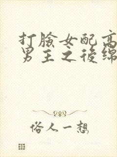 打脸女配高攀上男主之后绵绵txt下载