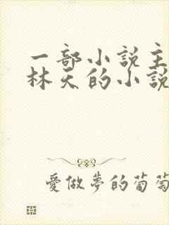 一部小说主角叫林天的小说