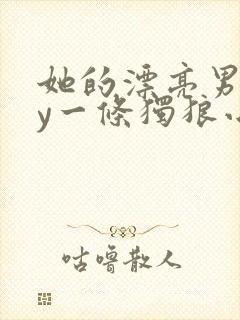 她的漂亮男友by一条独狼小说在线阅读