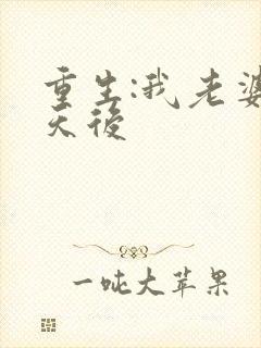 重生:我老婆是天后