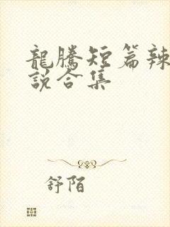 龙腾短篇辣文小说合集