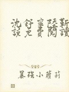 沈舒宁陆靳桥小说免费阅读最新章节