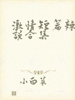 激情短篇辣文小说合集