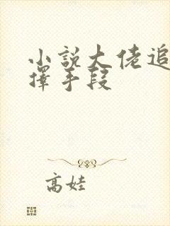 小说大佬追妻不择手段