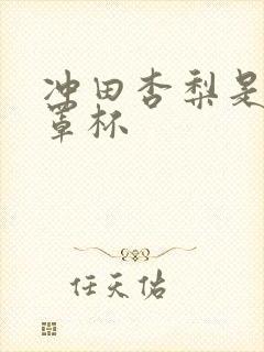 冲田杏梨是什么罩杯