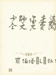 少帅你老婆跑了全文免费阅读封面