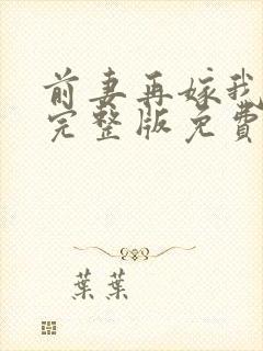 前妻再嫁我一次完整版免费阅读