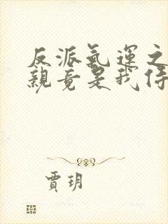 反派气运之子母亲竟是我侍女小说