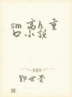 sm 高h 重口小说封面