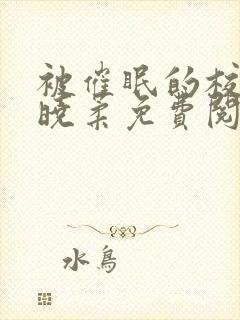 被催眠的校花高晓柔免费阅读