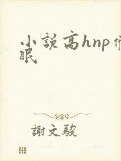 小说高hnp催眠