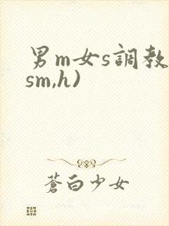 男m女s调教(sm,h)封面