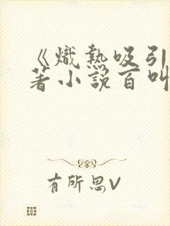 《炽热吸引》原著小说百叫什么名字