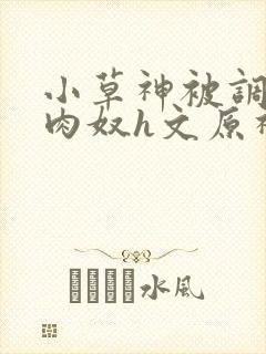 小草神被调教成肉奴h文原神封面