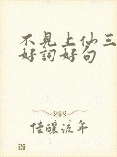 不见上仙三百年好词好句封面