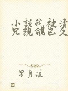 小说我被清冷师兄觊觎已久小说封面