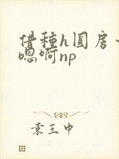 借种h圆房～h嗯啊np