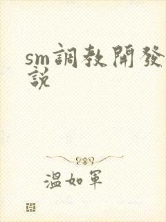 sm调教开发小说