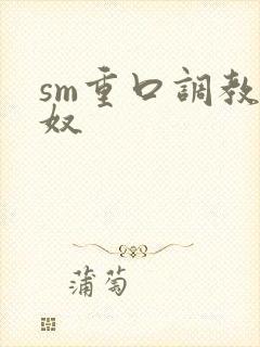 sm重口调教男奴