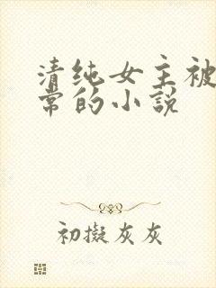 清纯女主被擒日常的小说
