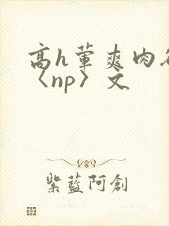 高h荤爽肉欲文〈np〉文
