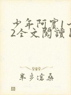 少年阿宾1～72全文阅读目录