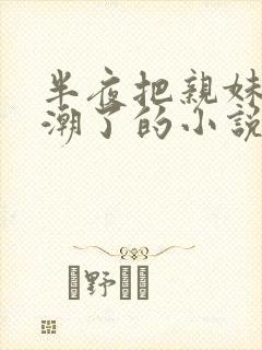 半夜把亲妹妹高潮了的小说