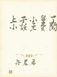 上子小舅了老婆小说免费阅读