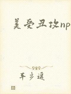 美受丑攻np