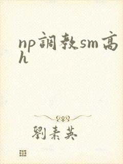 np调教sm高h