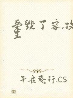 受毁了容,攻重生