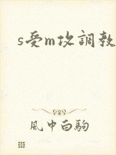 s受m攻调教文封面