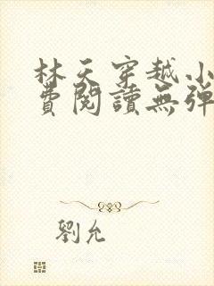 林天穿越小说免费阅读无弹窗