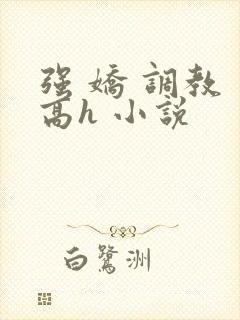 强 娇 调教 高h 小说