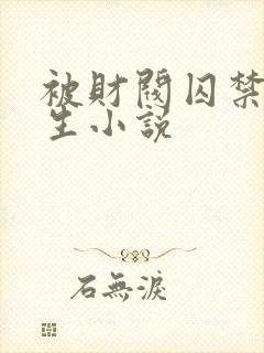 被财阀囚禁的女生小说