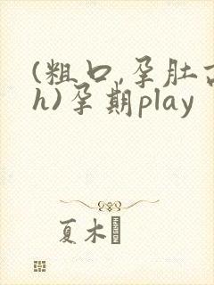 (粗口,孕肚高h)孕期play