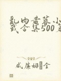 乱肉黄蓉小武大武合集500篇