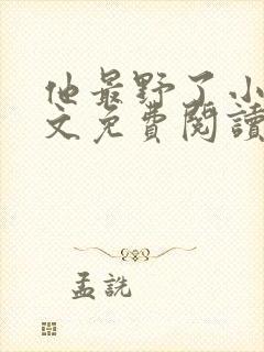 他最野了小说全文免费阅读封面