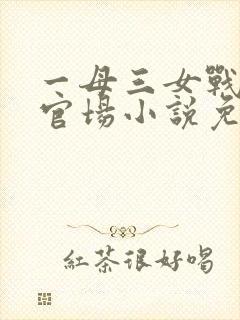 一母三女战一婿官场小说免费阅读