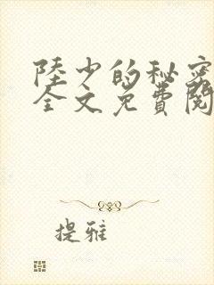 陆少的秘密恋人全文免费阅读