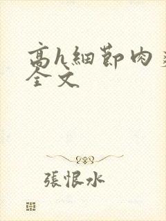 高h细节肉爽文全文