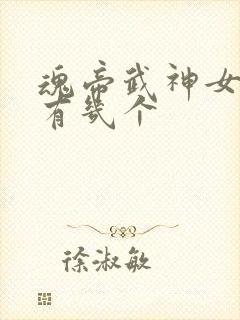 魂帝武神女主角有几个