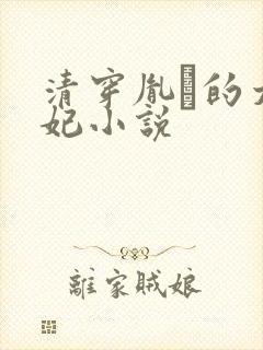 清穿胤礽的太子妃小说