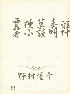 贾梗草秦淮茹原著小说叫什么