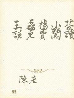 王磊杨小芬的小说免费阅读全文最新章节