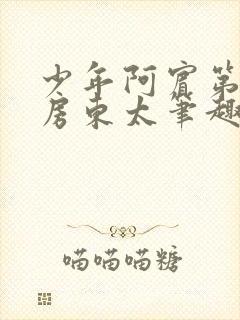 少年阿宾第一章房东太笔趣阁