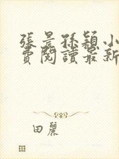 张晨孙颖小说免费阅读最新章节