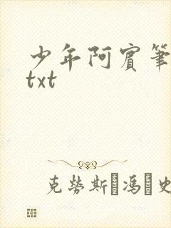 少年阿宾笔趣阁txt