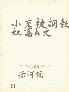 小哀被调教成肉奴高h文封面